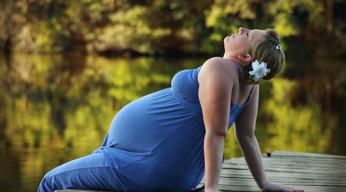 Pregnancy approach Review – Why Is This Fertility Program So Popular ?